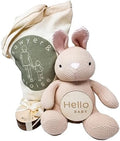 Monthly Baby Milestone Knit Cotton Stuffie with Wooden Discs, Newborn Photography Prop, Announcement Sign by Sawyer & Eloise (Bunny) by Unknown