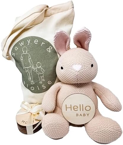 Monthly Baby Milestone Knit Cotton Stuffie with Wooden Discs, Newborn Photography Prop, Announcement Sign by Sawyer & Eloise (Bunny) by Unknown