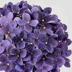 ZYTUYO 20 inches 4 Pcs Violet Purple Real Touch Hydrangea Artificial Flowers Boho Lifelike Real Looking Latex Hydrangeas Flower with Long Stem for Home Decor Spring Table Centrepiece - Image 6