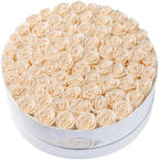 Prifroti 75 Preserved Roses in Suede Box – Luxury Rose Flower Arrangement, Preserved Flowers Gifts for Women, Wife or Mom – Birthday, Anniversary, Valentine’s Day, Mother's Day (Champagne) by Prifroti