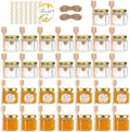 2 oz 30 Pack Mini Glass Honey Jars with Wood Dippers & Gold Lids by BIGIVACA