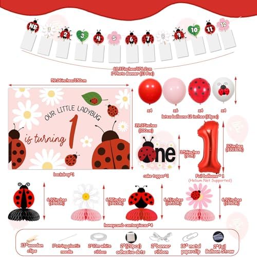 Ladybug First Birthday Decoration Our Little Ladybug Is Turning One Backdrop Photo Banners Pink Little Bug Daisy Honeycomb Centerpieces Cake Topper Balloons for Girls Insect Themed Party Supplies - Image 6