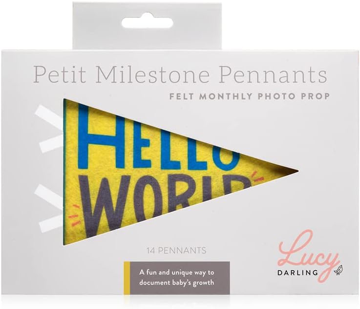 Lucy Darling Petit Milestone Pennants – Baby Monthly Milestone Pennant Flags – Newborn Photo Props & Felt Nursery Decor – Keepsake Banner Set for Baby Photos – Little Kaleidoscope - Image 2