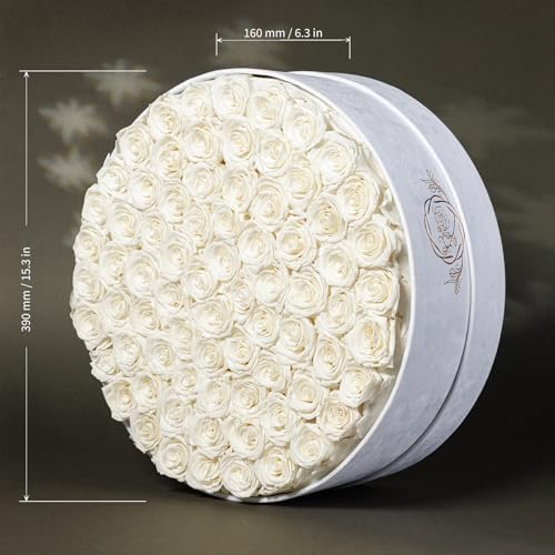 Prifroti 75 Preserved Roses in Suede Box – Luxury Rose Flower Arrangement, Preserved Flowers Gifts for Women, Wife or Mom – Birthday, Anniversary, Valentine’s Day, Mother's Day (White) - Image 2