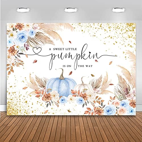 Mocsicka Pumpkin Backdrop for Girl Boy Autumn Fall Baby Shower Party Decorations Boho Blush Floral A Little Pumpkin is On The Way Baby Shower Cake Table Banner (Blue, 10x8ft(120''x96'')) by Mocsicka