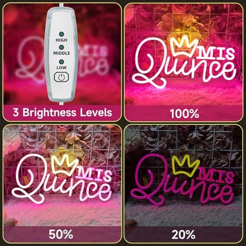Mis Quince Neon Sign for Wall Decor, Dimmable LED Sign Neon Lights for Bedroom Quinceanera Christmas Birthday Party Room Decoration Gift for Girl Kid lover 15.7 * 9 Inch - Image 4