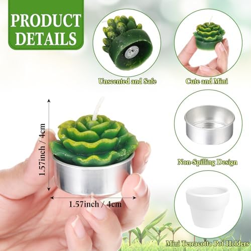 Shihanee 36 Pcs Succulent Cactus Tealight Candles - Image 2