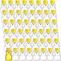 Patelai 48 Pcs 2 oz Plastic Honey Bear Bottles with Lids Clear, Yellow by Patelai
