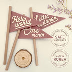 Baby Monthly Milestone Pennant Flag Signs | Natural Wood and Soft Felt | Baby First Year Photo Props, Nursery Decor, Newborn Birth Announcement, Baby Shower, Newborn Gift, Pregnancy Journey, Keepsake (Pink) - Image 3
