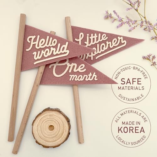 Baby Monthly Milestone Pennant Flag Signs | Natural Wood and Soft Felt | Baby First Year Photo Props, Nursery Decor, Newborn Birth Announcement, Baby Shower, Newborn Gift, Pregnancy Journey, Keepsake (Pink) - Image 3