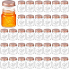 Tessco for you Mini Mason Jar Shot Glasses with Lids 2 oz Dishwasher Safe Mason Canning Jars for Bachelorette Wedding Party Favors Bar Drinks Home Desserts Honey Jam Candy(Clear, Rose Gold,36 Pcs) by Tessco