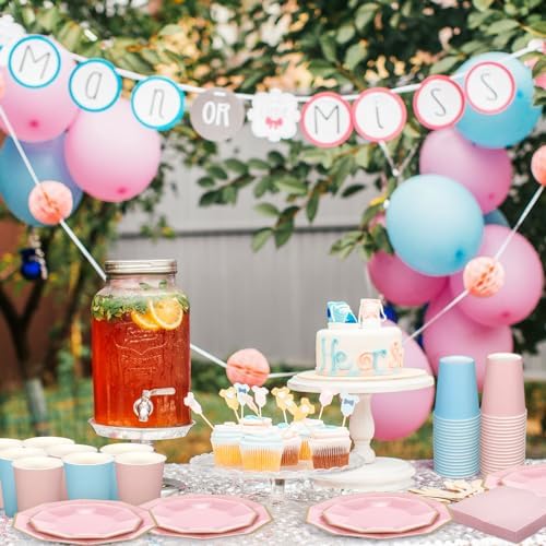 Nitial 462 Pcs Gender Reveal Party Supply Boy or Girl Pink and Blue Plates - Image 4