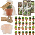 24 Pcs Succulent Candles Party Favors, Mini Tealight Candles for Wedding by AZEAM