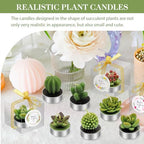 36 Pcs Succulent Candles Party Favors, Mini Cactus Tealight Candles Bulk - Image 6