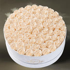Prifroti 75 Preserved Roses in Suede Box – Luxury Rose Flower Arrangement, Preserved Flowers Gifts for Women, Wife or Mom – Birthday, Anniversary, Valentine’s Day, Mother's Day (Champagne) - Image 6