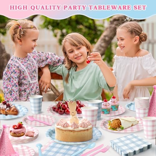 Vyntra 350-Pc Pink and Blue Gingham Paper Plates and Napkins Party Supplies - Image 3