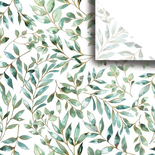 Jillson & Roberts 20" x 30" Printed Gift Tissue, Elegant Leaves (24 Folded Sheets) by JILLSONROBERTS