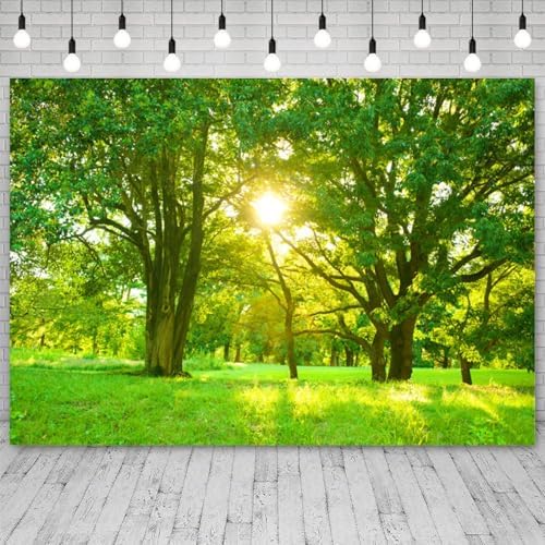 10x5ft Spring Backdrop Green Forest Sunshine Photography Background Jungle Trees Grass Field Nature Scenery Kids Birthday Baby Shower Banner Decorations Wedding Portrait Photo Booth Prop - Image 3