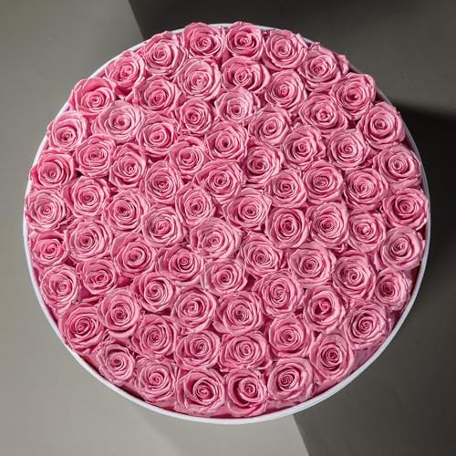 Prifroti 75 Preserved Roses in Suede Box – Luxury Rose Flower Arrangement, Preserved Flowers Gifts for Women, Wife or Mom – Birthday, Anniversary, Valentine’s Day, Mother's Day (Pink) - Image 4