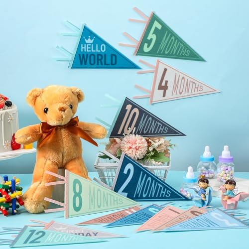 VitalCozy 14 Pcs Baby Milestone Pennant Signs Monthly Newborn Birthday - Image 3