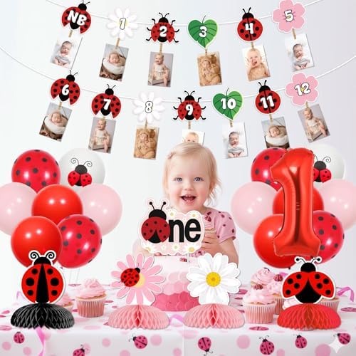 Ladybug First Birthday Decoration Our Little Ladybug Is Turning One Backdrop Photo Banners Pink Little Bug Daisy Honeycomb Centerpieces Cake Topper Balloons for Girls Insect Themed Party Supplies - Image 4