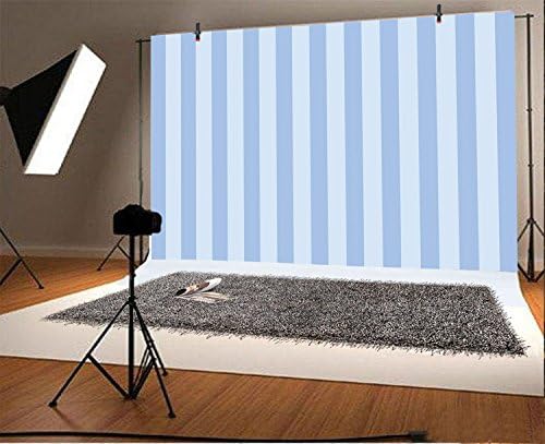 Leyiyi 12x10ft Photography Background Striped Backdrop Happy Birthday Party Vertical Horizontal Stripes Icecream Boy Blog Make Up Vlogger Summer Ocean Water Baby Shower Photo Portrait Studio Prop - Image 2