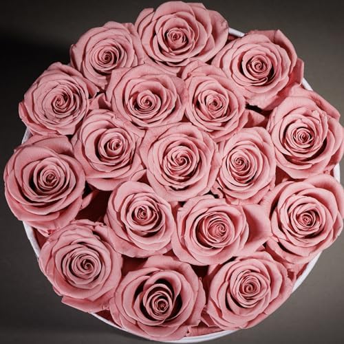 Prifroti 17 Flowers in a Luxury Suede Box, Birthday Gifts for Women, Preserved Flowers, Mothers Day Roses Gift for Mom, Dusty Rose - Image 5