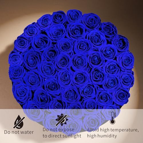 Prifroti 47 Flowers in a Luxury Suede Box, Birthday Gifts for Women, Preserved Flowers, Mothers Day Roses Gift for Mom,Blue - Image 3