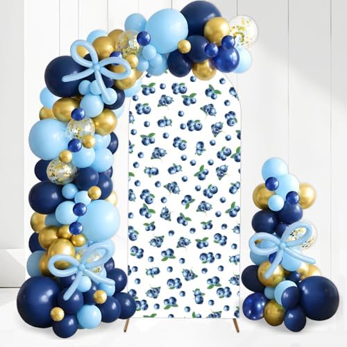 Blueberry Arch Backdrop Covers and Balloon Garland Arch Kit Blueberry Baby Shower Decorations 6ft Berry Sweet One Birthday Banner for Fruit Theme Birthday Party Decorations Bridal Shower Supplies by ZestZing