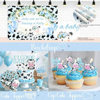 Costova Cow Baby Shower Decorations for Boys, Blue Cow Baby Shower Decorations, Holy Cow We Are Having a Baby Backdrop Balloon Box Tablecloth Sash Pin for Cow Print Baby Shower Gender Reveal - Image 5
