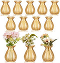 12 Pieces 3.5 Inch Glass Bud Vase Mini, Amber by Unknown