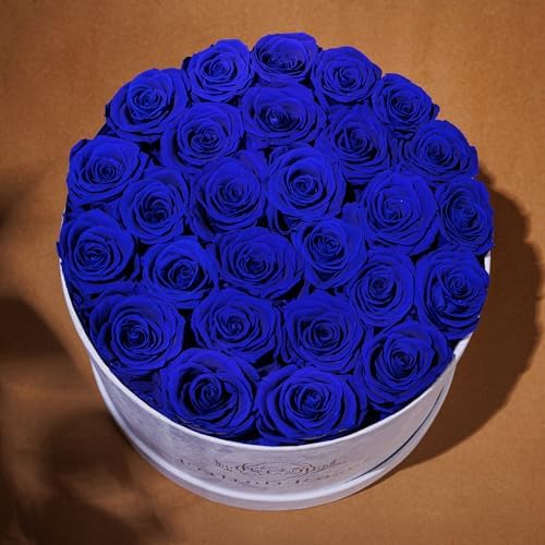 Prifroti 27 Flowers in a Luxury Suede Box, Birthday Gifts for Women, Preserved Flowers, Mothers Day Roses Gift for Mom, Royal Blue - Image 4