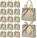 EQOREIIN 24 PCS Small Gift Bags with Handles, 5.5x 2.5x4.7 Inches Mini Bag by EQOREIIN