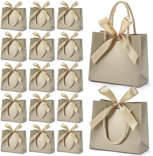 EQOREIIN 100 PCS Small Gift Bags with Handles, 5.5x 2.5x4.7 Inches Mini Bag by EQOREIIN