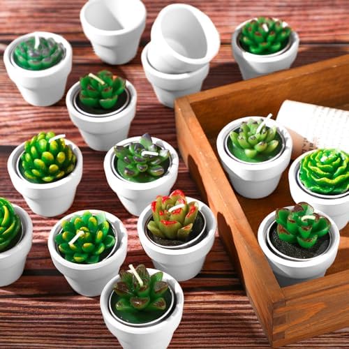 Shihanee 36 Pcs Succulent Cactus Tealight Candles - Image 4
