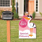 Big Dot of Happiness Girl Special Delivery - Baby Shower Decorations - Pink It's A Girl Stork Baby Announcement & Welcome Yard Sign - Image 2