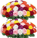 Auihiay 60PCS Artificial Roses, Mix Color Tinted Roses by Auihiay