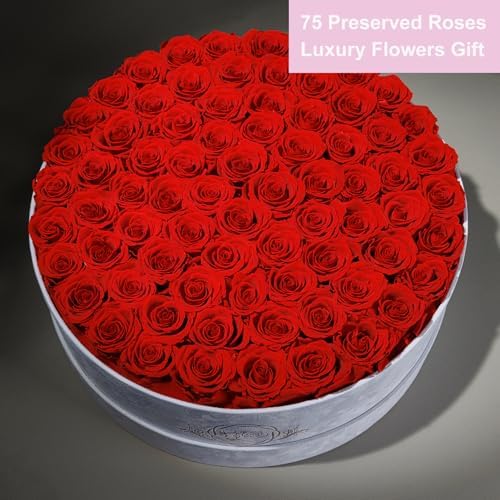 Prifroti 75 Preserved Roses in Suede Box – Luxury Rose Flower Arrangement, Preserved Flowers Gifts for Women, Wife or Mom – Birthday, Anniversary, Valentine’s Day, Mother's Day (Red) - Image 4