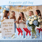 FunooFuno 50 Pack Blue Gingham Gift Bags with Red Bows, Blueberry Party - Image 5