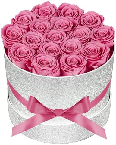 Prifroti 17 Pink Flowers in Glitter Box, Birthday Gifts for Women, Preserved Flowers, Mothers Day Roses Gift for Mom by Prifroti