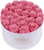 Prifroti 27 Flowers in a Luxury Suede Box, Birthday Gifts for Women, Preserved Flowers, Mothers Day Roses Gift for Mom, Light Pink by Prifroti