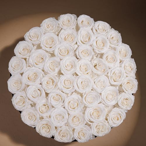 Prifroti 47 Flowers in a Luxury Suede Box, Birthday Gifts for Women, Preserved Flowers, Mothers Day Roses Gift for Mom, Pure White - Image 3