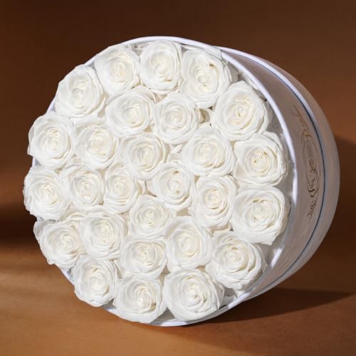 Prifroti 27 Flowers in a Luxury Suede Box, Birthday Gifts for Women, Preserved Flowers, Mothers Day Roses Gift for Mom, White - Image 4
