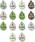 Lulujo Baby’s First Year Milestone Blanket and Card Set | 40in x 40in (Here I Grow Again) - Image 3