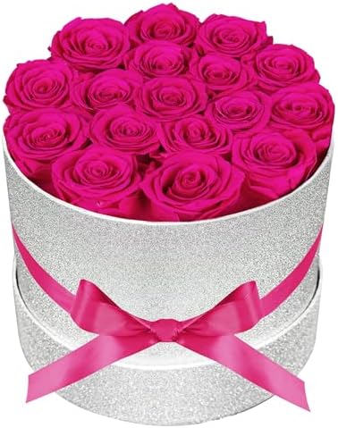 Prifroti 17 Hot Pink Flowers in Glitter Box, Birthday Gifts for Women, Preserved Flowers, Mothers Day Roses Gift for Mom by Prifroti