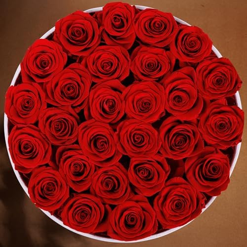 Prifroti 27 Flowers in a Luxury Suede Box, Birthday Gifts for Women, Preserved Flowers, Mothers Day Roses Gift for Mom, Red - Image 4