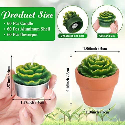 Lounsweer 60 Pcs Succulent Tealight Candles Bulk Novelty Decorative Cactus Candles Wedding Baby Shower Wedding Gifts with Mini Clay Holders for Birthday Party Home Mexican Party Favors (Simple) - Image 2