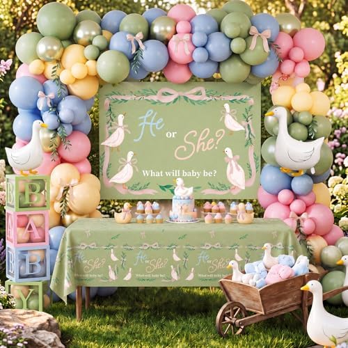 Gejoy Silly Goose Gender Reveal Decorations Balloon Arch Kit by Gejoy