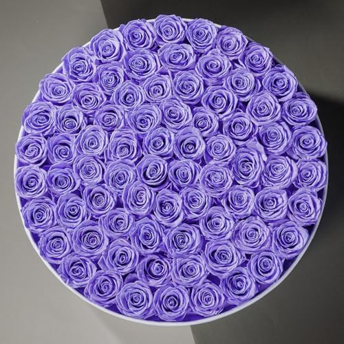 Prifroti 75 Preserved Roses in Suede Box – Luxury Rose Flower Arrangement, Preserved Flowers Gifts for Women, Wife or Mom – Birthday, Anniversary, Valentine’s Day, Mother's Day (Lavender) - Image 4