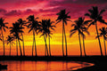 20x10ft Summer Tropical Hawaii Beach Backdrops Seaside Sunset Silhouettes Palm Trees Summer Backdrops for Photography Background Luau Aloha Wedding Party Banner Decor Photo Props by XMJJKUF